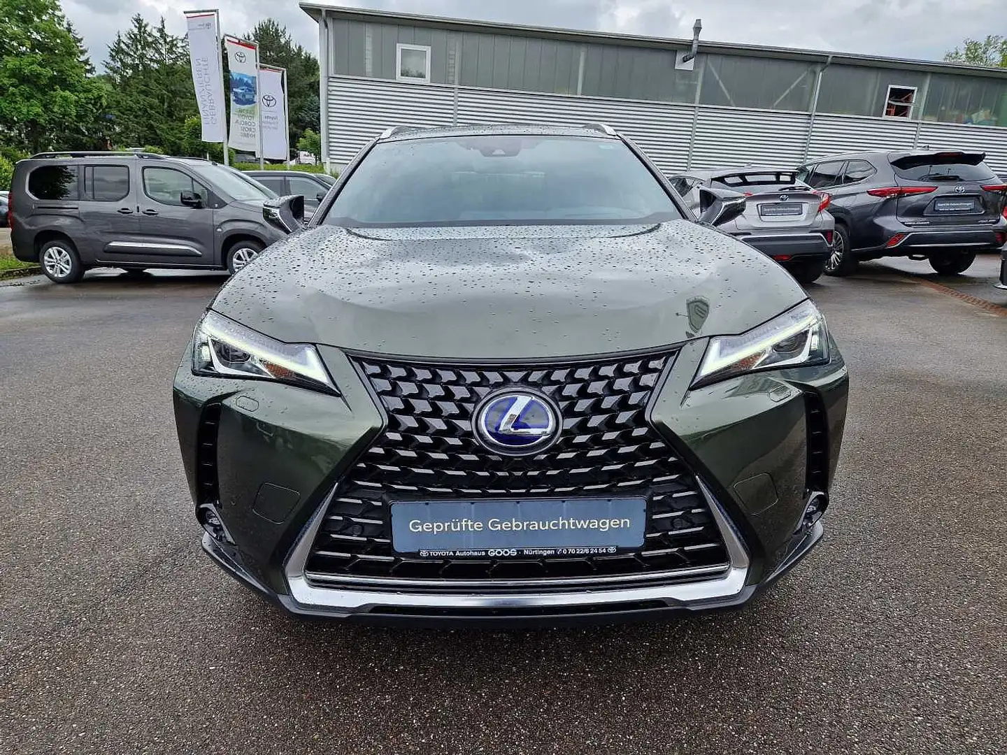 Lexus UX 250h Style Edition Grün - 1