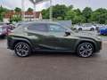 Lexus UX 250h Style Edition Groen - thumbnail 5