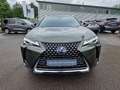 Lexus UX 250h Style Edition Groen - thumbnail 7