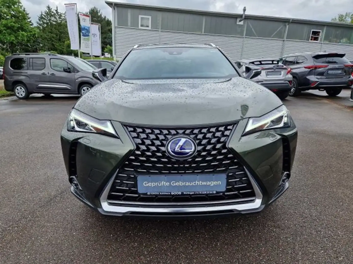 Lexus UX 250h Style Edition Navi LED ACC Apple CarPlay Android A Green - 1