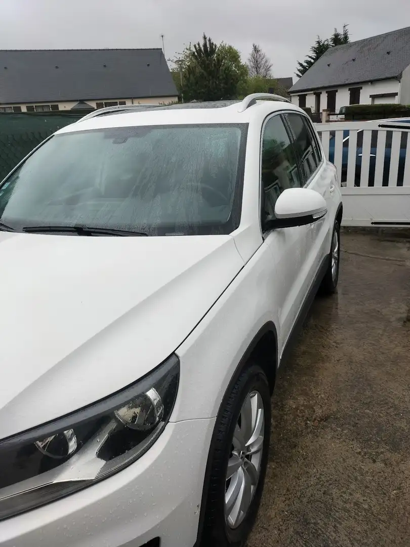 Volkswagen Tiguan 2.0 TDI 140 FAP BlueMotion Technology Sportline 4M - 2