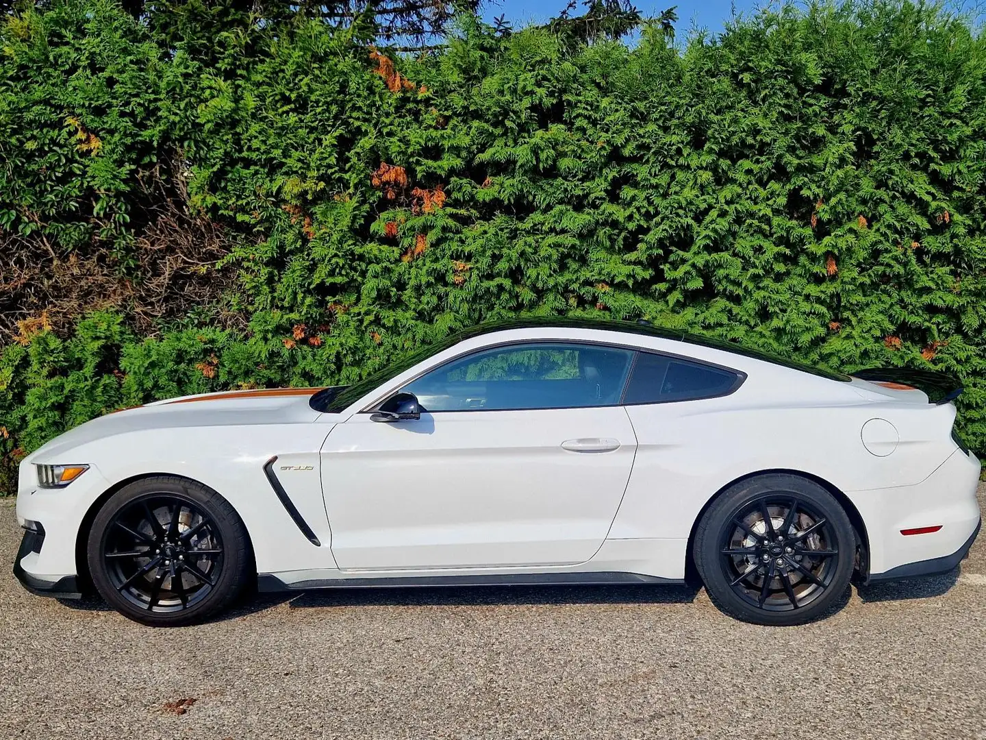 Ford Mustang Original Shelby GT 350 5.2 V8 Kein MUSTANG Білий - 2