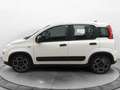 Fiat Panda My21 1.0 70cv Hybrid City Life Blanc - thumbnail 3