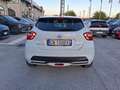 Nissan Micra Micra IG-T 92 GPL 5 porte Eco N-Design Wit - thumbnail 7