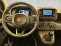 Fiat Panda Pandina Fire Fly ICON Hybrid 70 Blau - thumbnail 14