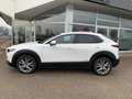 Mazda CX-30 e-Skyactive G140 Exclusive-Line Aut. Weiß - thumbnail 11