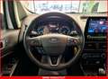 Ford EcoSport 1.0 Ecoboost Active NEOPATENTATI (PELLE+ANDROID+AP Bianco - thumbnail 14