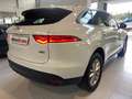 Jaguar F-Pace 2.0i4D Pure AWD 180 Blanco - thumbnail 7