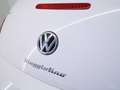 Volkswagen Maggiolino Maggiolino 2011 1.6 tdi Design TAGLIANDI VW NEOP Blanco - thumbnail 38
