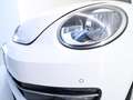 Volkswagen Maggiolino Maggiolino 2011 1.6 tdi Design TAGLIANDI VW NEOP Blanco - thumbnail 35