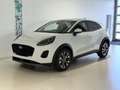 Ford Puma Titanium 1.0 EcoBoost Hybrid 92 kW (125 PS) Len... Weiß - thumbnail 1