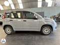 Fiat Panda 1.2 69 ch S/S Easy Grau - thumbnail 4