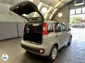 Fiat Panda 1.2 69 ch S/S Easy Grau - thumbnail 20