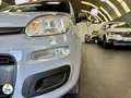 Fiat Panda 1.2 69 ch S/S Easy Gris - thumbnail 9