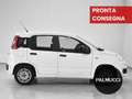 Fiat Panda Panda 1.2 Easy - thumbnail 4