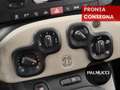Fiat Panda Panda 1.2 Easy - thumbnail 11