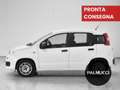 Fiat Panda Panda 1.2 Easy - thumbnail 5