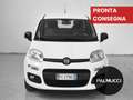 Fiat Panda Panda 1.2 Easy - thumbnail 2