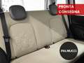 Fiat Panda Panda 1.2 Easy - thumbnail 14