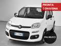 Fiat Panda Panda 1.2 Easy - thumbnail 1