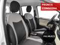 Fiat Panda Panda 1.2 Easy - thumbnail 15