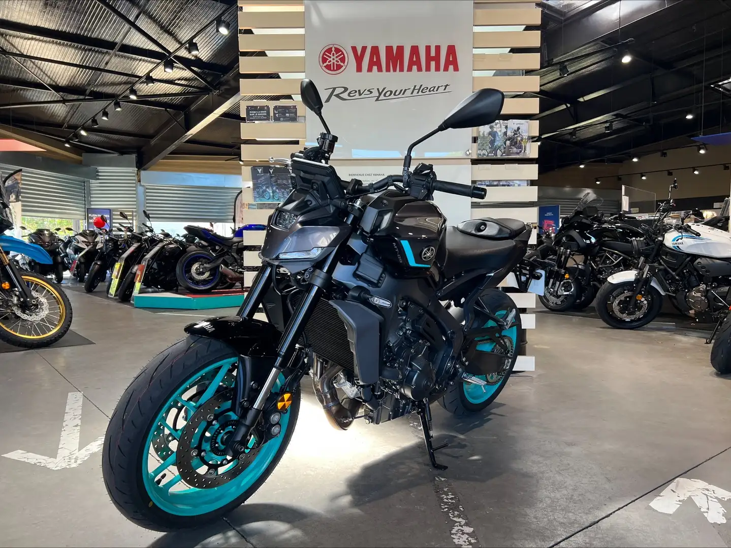 Yamaha MT-09 Gris - 2