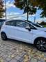 Ford Fiesta Titanium 1,0 Start/Stop Weiß - thumbnail 5