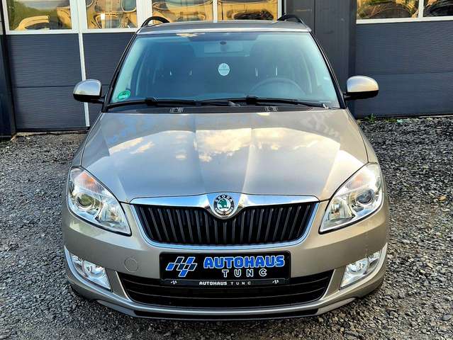 Skoda Fabia Ambition, DSG, voll Scheckheft, PDC, Hill-Hold