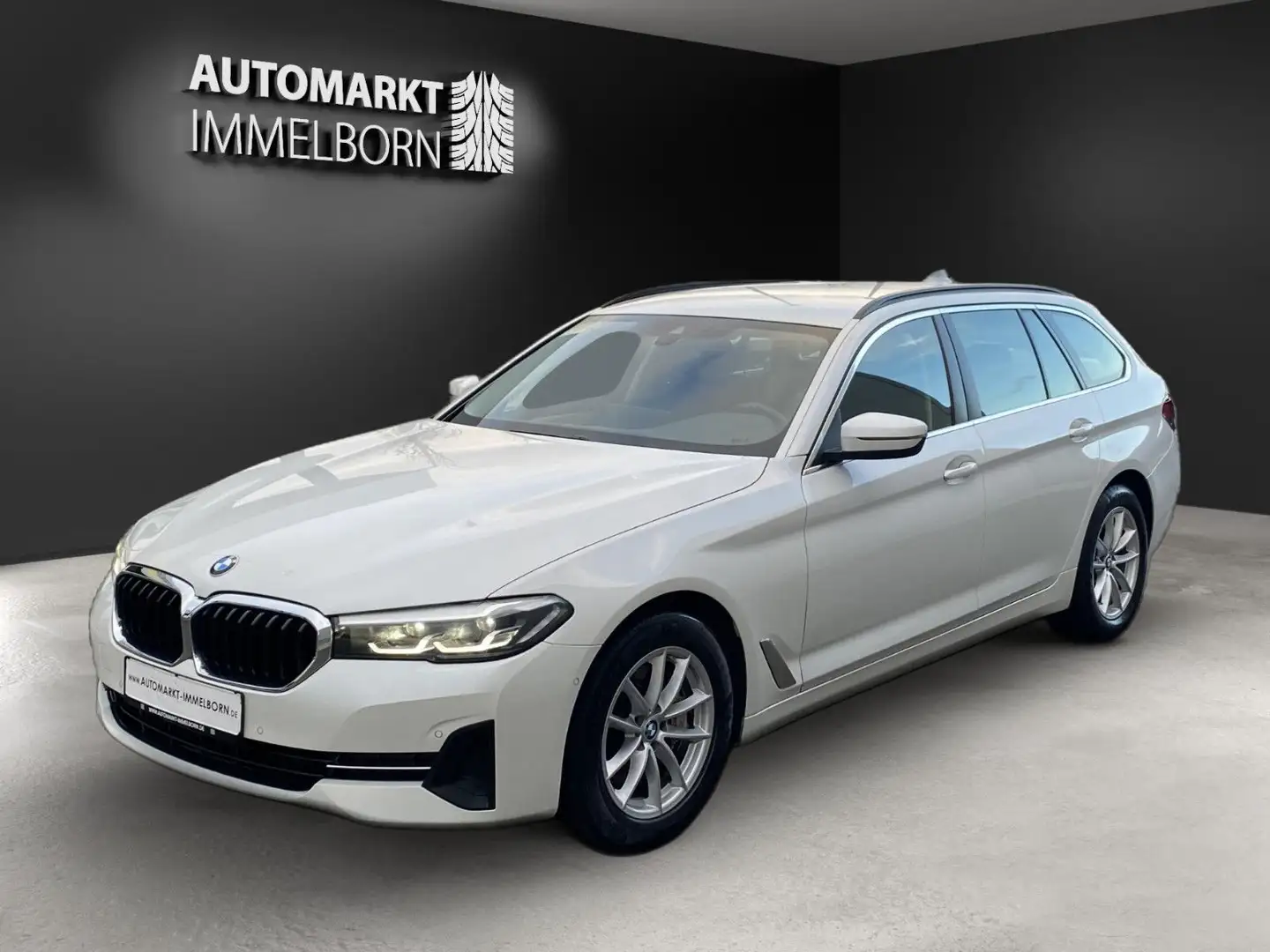BMW 530 d VollLeder*Kamera*Led*LiveCP*Navi*DAB*Winte Білий - 2