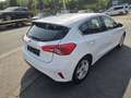 Ford Focus Cool 1.Hand/1 Jahr Garantie/ TÜV NEU 70 kW (95 ... Blanc - thumbnail 4