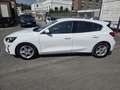Ford Focus Cool 1.Hand/1 Jahr Garantie/ TÜV NEU 70 kW (95 ... Blanc - thumbnail 7