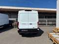 Ford Transit Transit Kasten 2,0 EcoBlue L3H2 350 Trend Weiß - thumbnail 4