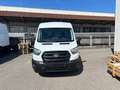 Ford Transit Transit Kasten 2,0 EcoBlue L3H2 350 Trend Weiß - thumbnail 2