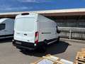 Ford Transit Transit Kasten 2,0 EcoBlue L3H2 350 Trend Weiß - thumbnail 3