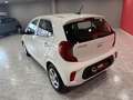 Kia Picanto 1.0 DPi Concept Blanco - thumbnail 6