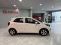 Kia Picanto 1.0 DPi Concept Blanco - thumbnail 4