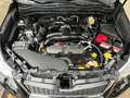 Subaru Forester 2.5 KAMERA + AHK + PANO + LEDER Schwarz - thumbnail 16