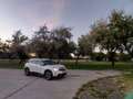 Citroen C5 Aircross C5 Aircross PureTech 180 S Weiß - thumbnail 2