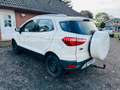 Ford EcoSport Titanium/Zahnriemen NEU/Klima/AHK Weiß - thumbnail 7