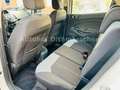 Ford EcoSport Titanium/Zahnriemen NEU/Klima/AHK Weiß - thumbnail 11