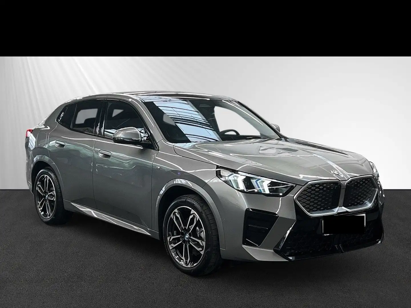 BMW iX2 xDrive30 64,8kWh Sport Pan Head Harman auch andere Grijs - 1