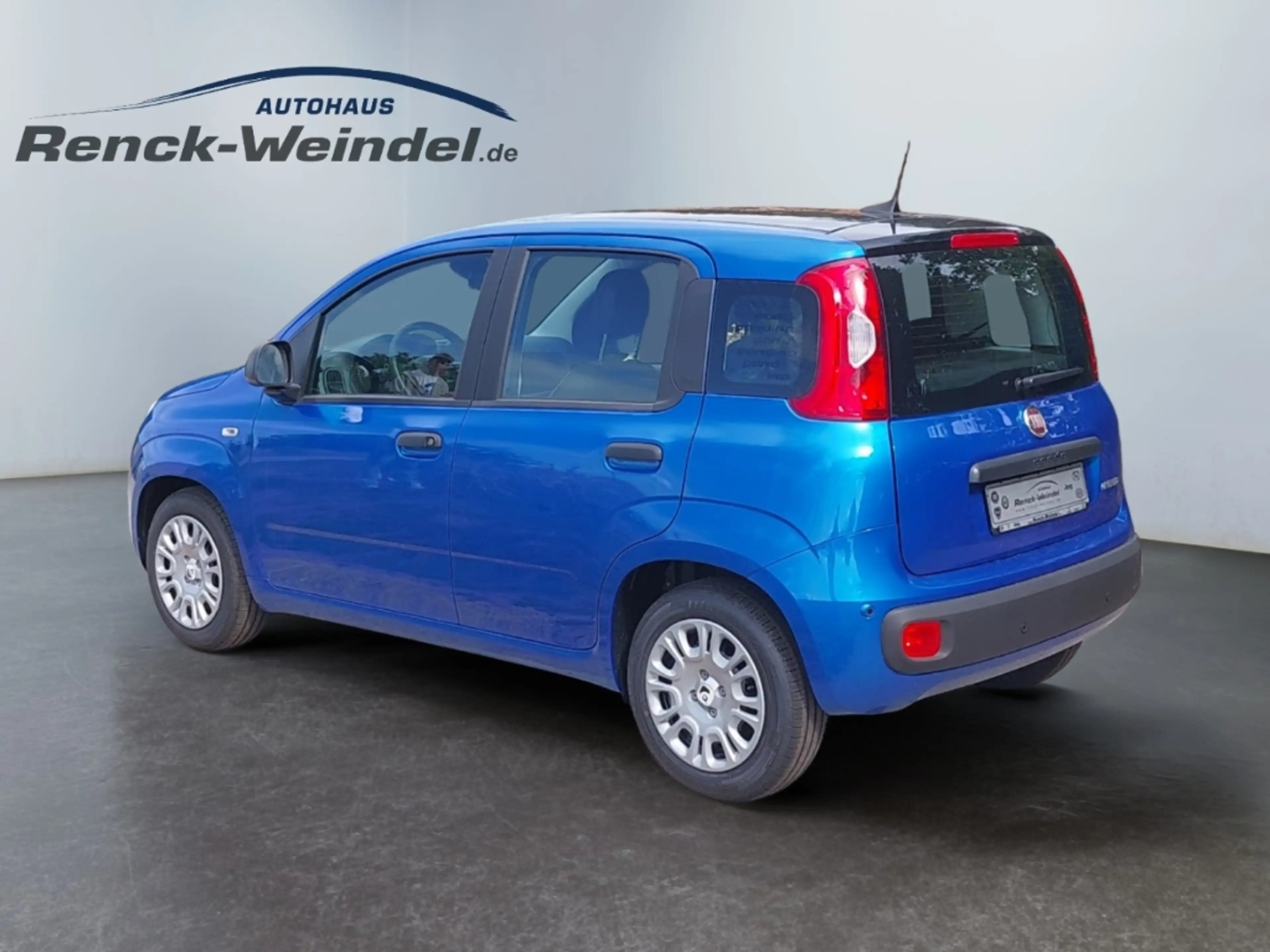 Fiat New Panda 1.0 ICON Digitales Cockpit DAB Spurhalteass. Verke — photo 3