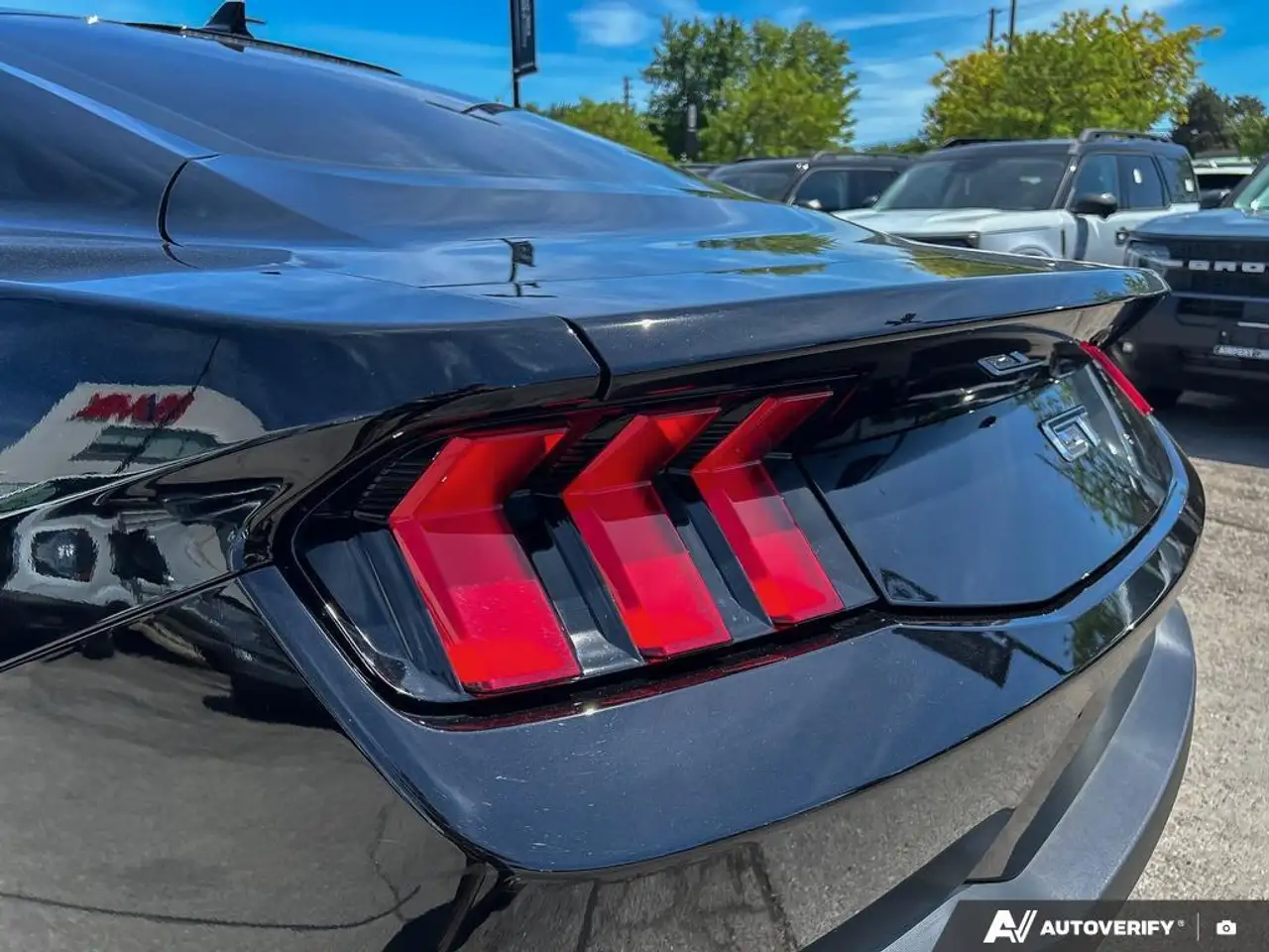 Ford Mustang fotografie Ford Mustang