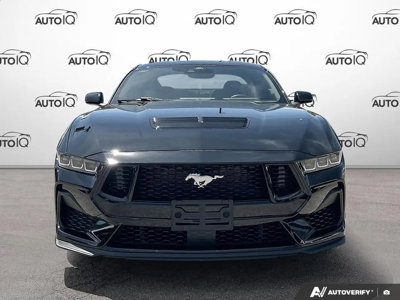 Ford Mustang fotografie Ford Mustang