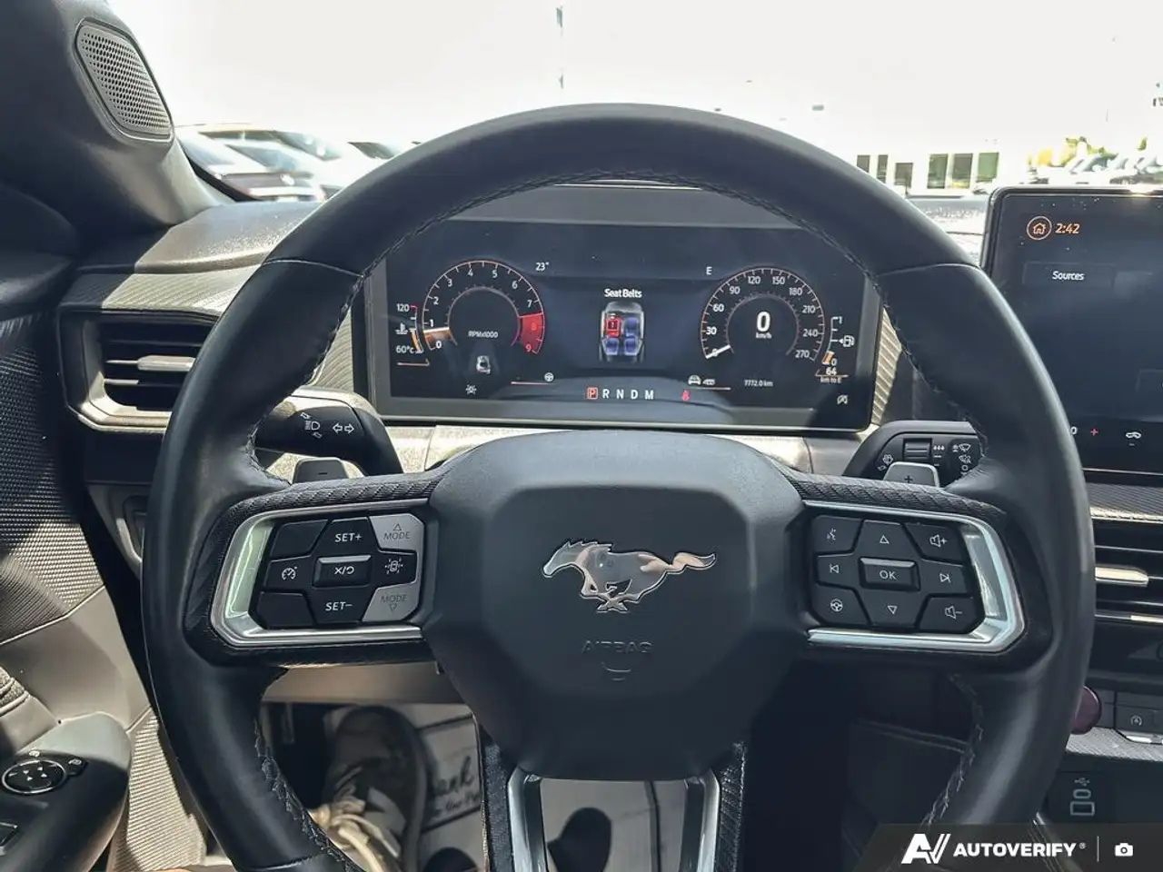 Ford Mustang fotografie Ford Mustang