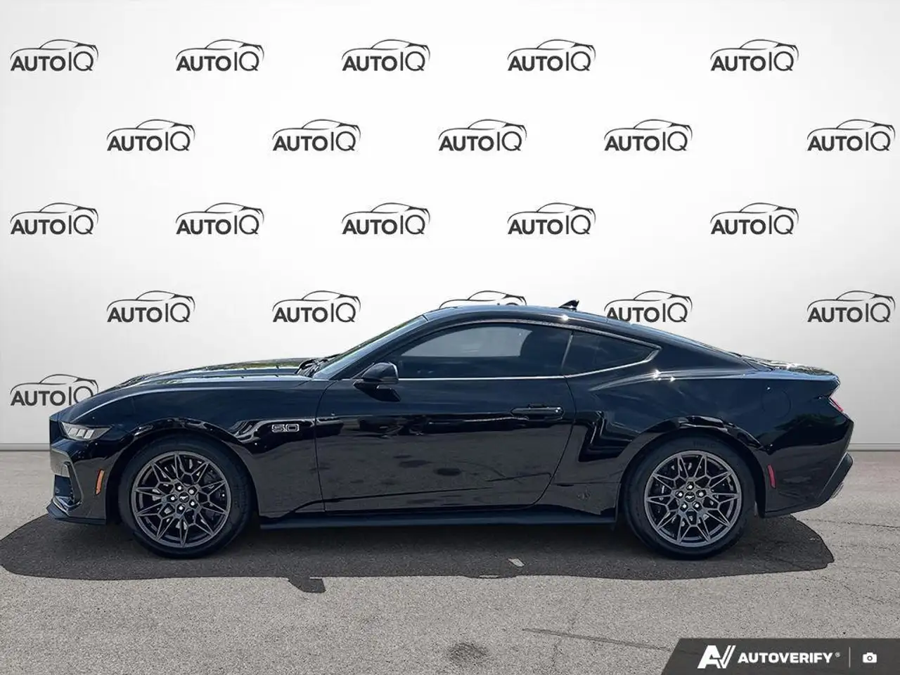 Ford Mustang fotografie Ford Mustang