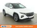 Hyundai TUCSON 1.6 T-GDI Mild-Hybrid Trend 2WD *NAVI*CAM*AHK*SPUR Weiß - thumbnail 8
