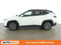 Hyundai TUCSON 1.6 T-GDI Mild-Hybrid Trend 2WD *NAVI*CAM*AHK*SPUR Weiß - thumbnail 3