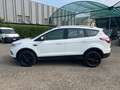 Ford Kuga Kuga 1.5 ecoboost Business s Bianco - thumbnail 8
