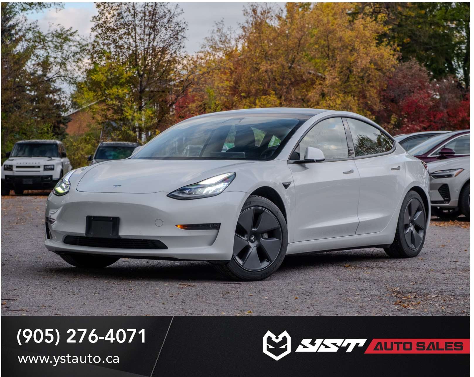 2021 Tesla Model 3